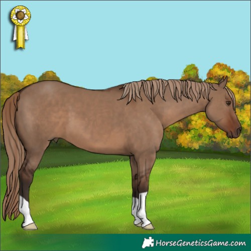 Horse Color:Liver Red Dun