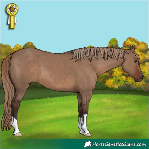 Horse Color:Liver Red Dun 