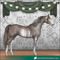 Horse Color:Gray Chestnut Sabino