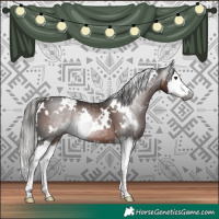 Horse Color:Gray White Spotted Liver Chestnut Splash