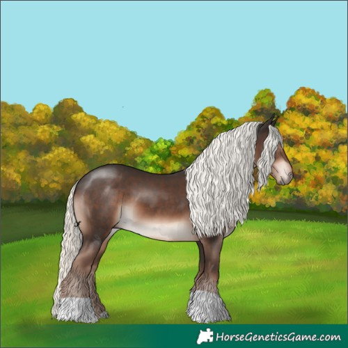 Horse Color:Liver Chestnut Mushroom