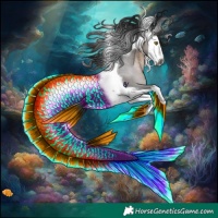 Horse Color:Gray Brown Splash Tobiano Rabicano 