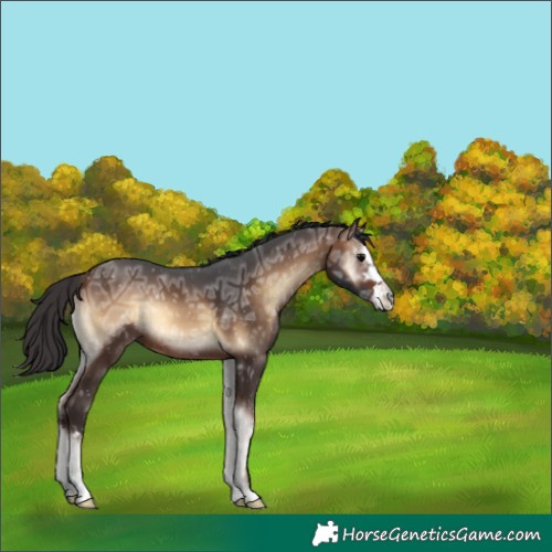 Horse Color:Brown Ice Onyx 