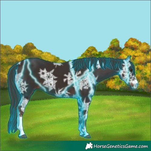 Horse Color:Thunderstruck Liver Chestnut Ice Sabino 