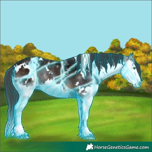 Horse Color:Thunderstruck White Spotted Brown Ice Splash