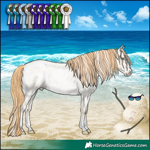 Horse Color:Buckskin Roan Pearl Dun Sabino Appaloosa