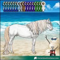 Horse Color:Buckskin Roan Pearl Dun Sabino Snowflake Varnish 