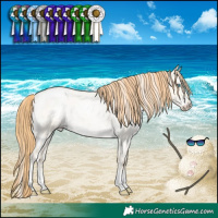 Horse Color:Buckskin Roan Pearl Dun Sabino Appaloosa