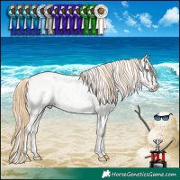 Horse Color:Buckskin Roan Pearl Dun Sabino Appaloosa