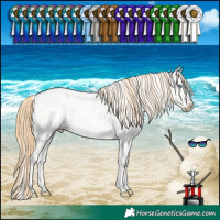 Horse Color:Buckskin Roan Pearl Dun Sabino Snowflake Varnish 