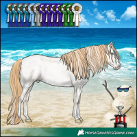 Horse Color:Buckskin Roan Pearl Dun Sabino Appaloosa