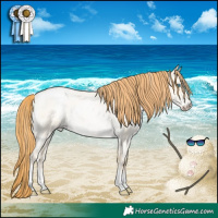 Horse Color:Buckskin Roan Pearl Dun Sabino Appaloosa 