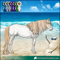 Horse Color:Buckskin Roan Pearl Dun Sabino Appaloosa 