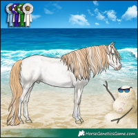Horse Color:Buckskin Roan Pearl Dun Sabino Appaloosa 