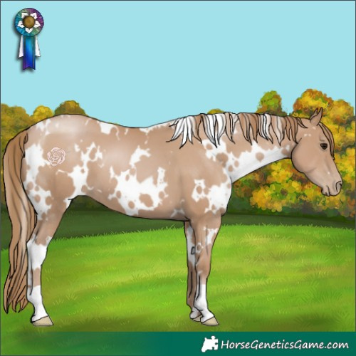 Horse Color:White Spotted Black Pearl 