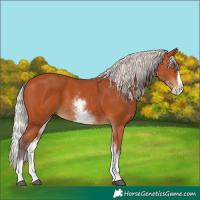 Horse Color:White Spotted Silver Bay Splash