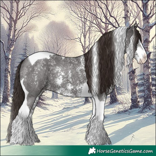 Horse Color:Liver Chestnut Sabino Tobiano 