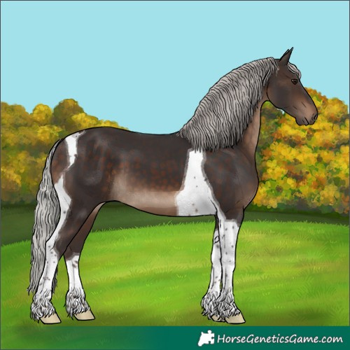 Horse Color:Silver Brown Tobiano 