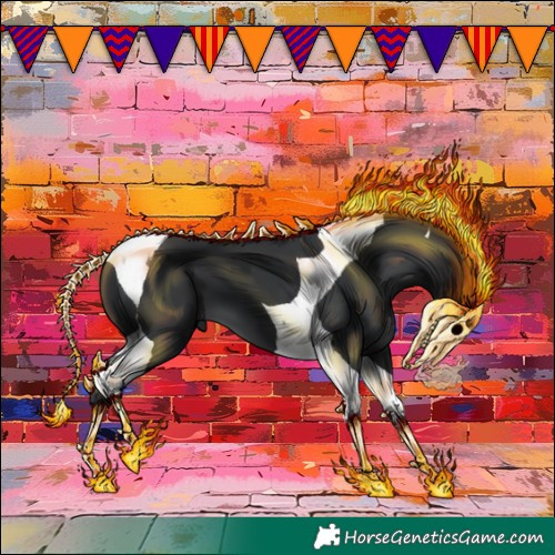 Horse Color:Black Tobiano 