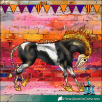 Horse Color:Black Tobiano 