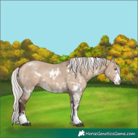 Horse Color:White Spotted Silver Brown Dun Sabino 