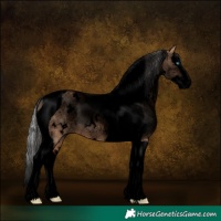 Horse Color:Void White Spotted Silver Brown Dun Splash Tobiano Rabicano 