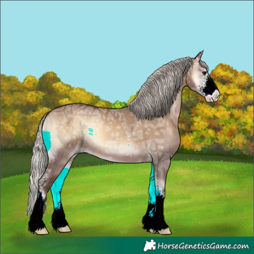 Horse Color:Silver Brown Ice Onyx Sabino 