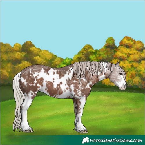 Horse Color:White Spotted Silver Black Ice Sabino
