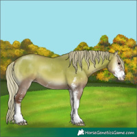 Horse Color:Silver Grullo Onyx Sabino 