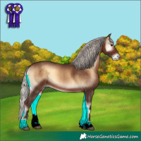 Horse Color:Silver Brown Onyx Sabino