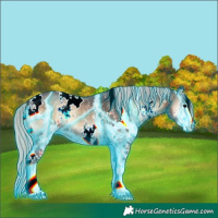 Horse Color:Thunderstruck White Spotted Silver Brown Onyx Sabino