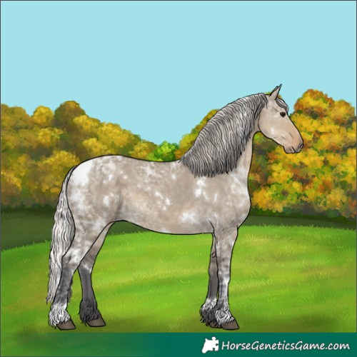Horse Color:White Spotted Silver Smoky Grullo Ice 