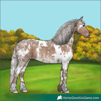 Horse Color:White Spotted Silver Black Ice 
