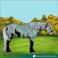 Horse Color:Watercolor Silver Grullo Sabino