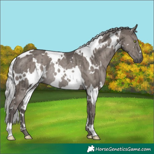 Horse Color:Platinum White Spotted Silver Grullo Rabicano Brindle 