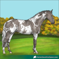Horse Color:Platinum White Spotted Silver Grullo Rabicano Brindle 