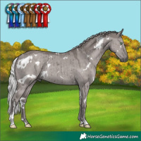 Horse Color:Platinum White Spotted Silver Smoky Grullo Rabicano Brindle