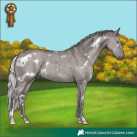 Horse Color:Platinum White Spotted Silver Smoky Grullo Rabicano Brindle 
