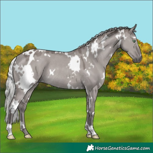 Horse Color:Platinum White Spotted Silver Smoky Grullo Rabicano 