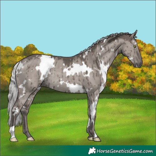 Horse Color:Platinum White Spotted Silver Grullo Rabicano Brindle 