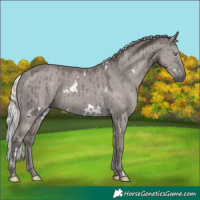 Horse Color:Platinum White Spotted Silver Smoky Grullo Rabicano Brindle 