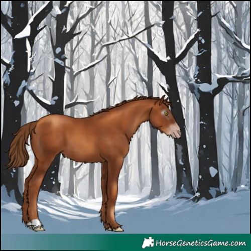 Horse Color:Gray Gold Champagne 