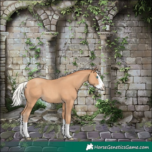 Horse Color:Silver Classic Champagne Splash 