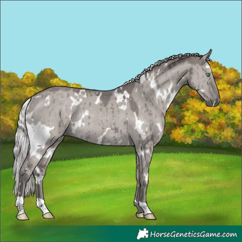 Horse Color:Platinum White Spotted Silver Smoky Grullo Rabicano Brindle