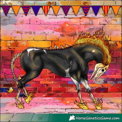 Horse Color:Black Tobiano 