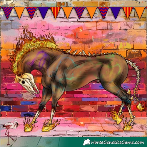 Horse Color:Bay 