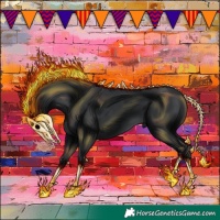 Horse Color:Black 