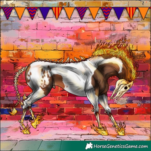 Horse Color:Bay Tobiano Appaloosa 