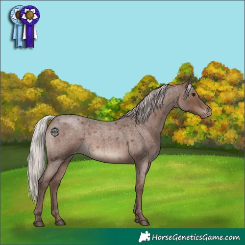 Horse Color:Silver Blue Roan Varnish 