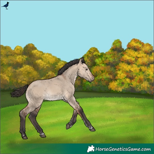 Horse Color:Bay Dun Mushroom